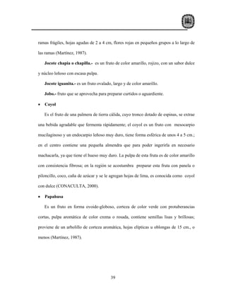 ramas frágiles, hojas agudas de 2 a 4 cm, flores rojas en pequeños grupos a lo largo de

las ramas (Martínez, 1987).

    Jocote chapia o chapilla.- es un fruto de color amarillo, rojizo, con un sabor dulce

y núcleo leñoso con escasa pulpa.

    Jocote iguanita.- es un fruto ovalado, largo y de color amarillo.

    Jobo.- fruto que se aprovecha para preparar curtidos o aguardiente.

•   Coyol

    Es el fruto de una palmera de tierra cálida, cuyo tronco dotado de espinas, se extrae

una bebida agradable que fermenta rápidamente; el coyol es un fruto con mesocarpio

mucilaginoso y un endocarpio leñoso muy duro, tiene forma esférica de unos 4 a 5 cm.;

en el centro contiene una pequeña almendra que para poder ingerirla en necesario

machacarla, ya que tiene el hueso muy duro. La pulpa de esta fruta es de color amarillo

con consistencia fibrosa; en la región se acostumbra preparar esta fruta con panela o

piloncillo, coco, caña de azúcar y se le agregan hojas de lima, es conocida como coyol

con dulce (CONACULTA, 2000).

•   Papahusa

    Es un fruto en forma ovoide-globoso, corteza de color verde con protuberancias

cortas, pulpa aromática de color crema o rosada, contiene semillas lisas y brillosas;

proviene de un arbolillo de corteza aromática, hojas elípticas u oblongas de 15 cm., o

menos (Martínez, 1987).




                                         39
 