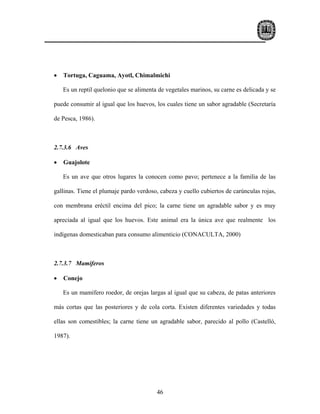 •   Tortuga, Caguama, Ayotl, Chimalmichi

    Es un reptil quelonio que se alimenta de vegetales marinos, su carne es delicada y se

puede consumir al igual que los huevos, los cuales tiene un sabor agradable (Secretaría

de Pesca, 1986).



2.7.3.6 Aves

•   Guajolote

    Es un ave que otros lugares la conocen como pavo; pertenece a la familia de las

gallinas. Tiene el plumaje pardo verdoso, cabeza y cuello cubiertos de carúnculas rojas,

con membrana eréctil encima del pico; la carne tiene un agradable sabor y es muy

apreciada al igual que los huevos. Este animal era la única ave que realmente los

indígenas domesticaban para consumo alimenticio (CONACULTA, 2000)



2.7.3.7 Mamíferos

•   Conejo

    Es un mamífero roedor, de orejas largas al igual que su cabeza, de patas anteriores

más cortas que las posteriores y de cola corta. Existen diferentes variedades y todas

ellas son comestibles; la carne tiene un agradable sabor, parecido al pollo (Castelló,

1987).




                                         46
 