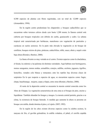 8,500 especies de plantas con flores registradas, con un total de 12,000 especies

(Armendáriz, 1994).

       En la región centro predominan los chaparrales y bosques caducifolios que se

encuentran sobre terrenos calizos desde cero hasta 1,200 msnm; la llanura central está

cubierta por bosques tropicales con árboles de caoba, guanacastle y cedro. La sabana

tropical está caracterizada por herbáceas, manchones con vegetación de pastizales y

cactáceas en suelos arenosos. En la parte más elevada la vegetación es de bosque de

coníferas, bosques mixtos de pino, pináceas, caducifolias, roble, sauce, abeto y nopal a más

baja altura (Román y Benítez, 2000).

       La fauna silvestre es muy variada en el centro. Existen especies como la chachalaca,

el faisán, la codorniz y las palomas de distintas variedades. Aquí habitan osos hormigueros,

monos saraguatos, monos arañas, armadillos, conejos, ardillas, ocelotes, jaguares, tigrillos,

leoncillos, venados cola blanca y temazates; ente los reptiles hay diversas clases de

serpientes En lo que respecta a especies de agua, se encuentran especies como: bagre,

chopa, huachinango, mojarra, carpa y tilapia, entre otras (Román y Benítez, 2000).

       Al norte de la depresión central se encuentra la meseta central conocida como los

Altos de Chiapas. La vegetación característica de esta zona es el bosque de pino, encino y

liquidámar. También abundan los hongos y musgos. La meseta central permite, gracias a su

clima, la existencia de bosque húmedo. A medida que aumenta la altura se presenta un

bosque con niebla, donde domina el pino y el ciprés. (SEP, 1992).

       En la región de los altos existen diversas especies como la culebra ocotera, la

nauyaca de frío, el gavilán golondrino, la ardilla voladora, el jabalí, el zorrillo espalda



                                             11
 
