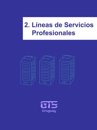 2. Líneas de Servicios  Profesionales 