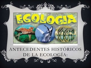 ANTECEDENTES HISTÓRICOS
DE LA ECOLOGÍA:
 