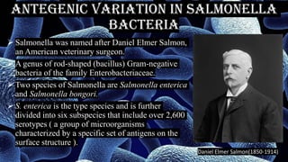 ANTEGENIC VARIATION IN SALMONELLA
BACTERIA
➢ Salmonella was named after Daniel Elmer Salmon,
an American veterinary surgeon.
➢ A genus of rod-shaped (bacillus) Gram-negative
bacteria of the family Enterobacteriaceae.
➢ Two species of Salmonella are Salmonella enterica
and Salmonella bongori.
➢ S. enterica is the type species and is further
divided into six subspecies that include over 2,600
serotypes ( a group of microorganisms
characterized by a specific set of antigens on the
surface structure ).
Daniel Elmer Salmon(1850-1914)
 