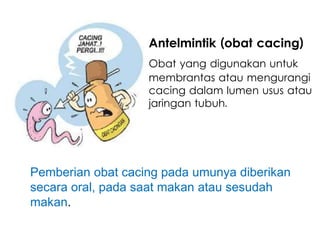 Pemberian obat cacing pada umunya diberikan
secara oral, pada saat makan atau sesudah
makan.
Antelmintik (obat cacing)
Obat yang digunakan untuk
membrantas atau mengurangi
cacing dalam lumen usus atau
jaringan tubuh.
 