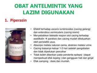OBAT ANTELMINTIK YANG
LAZIM DIGUNAKAN
1. Piperazin
• Efektif terhadap ascaris lumbricoides (cacing gelang)
dan enterobius vermicularis (cacing kremi)
• Menyebabkan blokade respon otot cacing terhadap
asetilkolin  paralisis dan cacing mudah dikeluarkan
oleh peristaltik usus.
• Absorpsi melalui saluran cerna, ekskresi melalui urine.
• Cacing biasanya keluar 1-3 hari setelah pengobatan
dan tidak diperlukan pencahar
• Tidak boleh diberikan pada penderita epilepsi (dapat
memperkuat efek kejang ) dan gangguan hati dan ginjal
• Efek samping : diare dan muntah.
 