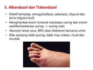 5. Albendazol dan Tiabendazol
• Efektif terhadap strongyloidiasis, askariasis, Oxyuris dan
larva migrans kulit.
• Menghambat enzim fumarat reduktase cacing dan enzim
asetilkolinesterase cacing -> cacing mati.
• Absorpsi lewat usus, 90% obat diekskresi bersama urine.
• Efek samping ialah pusing, tidak mau makan, mual dan
muntah
 
