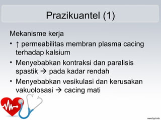 Prazikuantel (1)
Mekanisme kerja
• ↑ permeabilitas membran plasma cacing
terhadap kalsium
• Menyebabkan kontraksi dan paralisis
spastik  pada kadar rendah
• Menyebabkan vesikulasi dan kerusakan
vakuolosasi  cacing mati
 