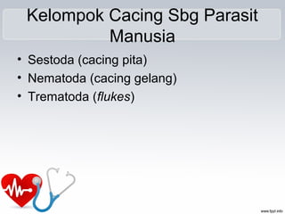 Kelompok Cacing Sbg Parasit
Manusia
• Sestoda (cacing pita)
• Nematoda (cacing gelang)
• Trematoda (flukes)
 