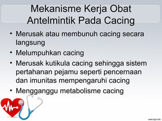 Mekanisme Kerja Obat
Antelmintik Pada Cacing
• Merusak atau membunuh cacing secara
langsung
• Melumpuhkan cacing
• Merusak kutikula cacing sehingga sistem
pertahanan pejamu seperti pencernaan
dan imunitas mempengaruhi cacing
• Mengganggu metabolisme cacing
 