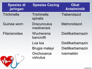Spesies di
jaringan
Spesies Cacing Obat
Antelmintik
Trichinella Trichinella
spiralis
Tiabendazol
Guinea worn Dracunculus
medinensis
Metronidazol
Filariaroidea Wuchereria
bancrofti
Dietilkarbamazin
Loa loa Dietilkarbamazin
Brugia malayi Dietilkarbamazin
Onchocerca
volvulus
Ivermektin
 