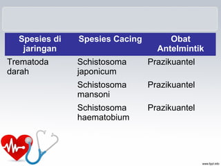 Spesies di
jaringan
Spesies Cacing Obat
Antelmintik
Trematoda
darah
Schistosoma
japonicum
Prazikuantel
Schistosoma
mansoni
Prazikuantel
Schistosoma
haematobium
Prazikuantel
 