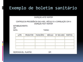 Exemplo de boletim sanitário
 