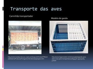 Transporte das aves
  Caminhão transportador
                                                           Modelo de gaiola




http://sistemasdeproducao.cnptia.embrapa.br/FontesHTML/A   http://www.logismarket.ind.br/caixaplast/gaiola-para-
ve/SistemaProducaoFrangosCorteColoniais/preparo.htm        aves-vivas-para-transporte/1727639456-1357231164-
                                                           p.html
 