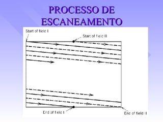 PROCESSO DE ESCANEAMENTO 