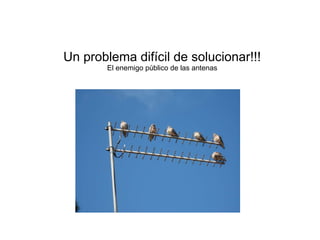 Un problema difícil de solucionar!!!
El enemigo público de las antenas
 