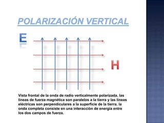 Polarización vertical