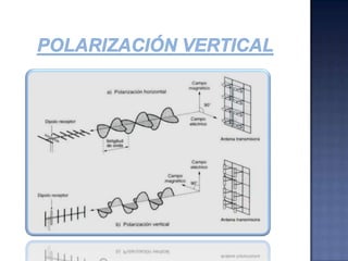 Polarización verticalInterpretación desde el inicio de una onda de radio de polarización vertical que muestra la radiación del  campo eléctrico de la antena.