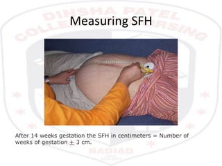 Measuring SFH
After 14 weeks gestation the SFH in centimeters = Number of
weeks of gestation + 3 cm.
 