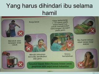 Yang harus dihindari ibu selama
hamil
 