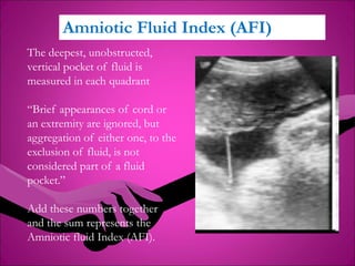 GgggAntenatal-fetal-assessment_Prof.Salah_.pdf
