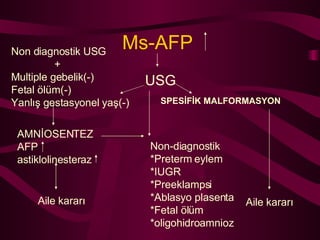 Ms-AFP   USG SPESİFİK MALFORMASYON Non diagnostik USG + Multiple gebelik(-) Fetal ölüm(-) Yanlış gestasyonel yaş(-) AMNİOSENTEZ AFP  astiklolinesteraz Non-diagnostik *Preterm eylem *IUGR *Preeklampsi *Ablasyo plasenta *Fetal ölüm *oligohidroamnioz Aile kararı Aile kararı 