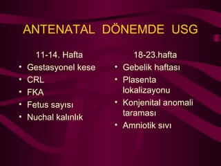 ANTENATAL  DÖNEMDE  USG 11-14. Hafta Gestasyonel kese CRL FKA Fetus sayısı Nuchal kalınlık 18-23.hafta Gebelik haftası  Plasenta lokalizayonu Konjenital anomali taraması Amniotik sıvı 