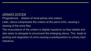 URINARY SYSTEM
Progesterone dilation of renal pelves and ureters
Later, uterus compresses the ureters at the pelvic brim, causing a
slowing of the urine flow.
The musculature of the ureters is slightly hypotonic so they dialate and
also seem to elongate to circumvent the enlarging uterus. This leads to
pooling and stagnation of urine causing a predisposition to urinary tract
infections.
 