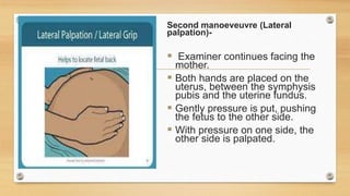 Second manoeveuvre (Lateral
palpation)-
 Examiner continues facing the
mother.
 Both hands are placed on the
uterus, between the symphysis
pubis and the uterine fundus.
 Gently pressure is put, pushing
the fetus to the other side.
 With pressure on one side, the
other side is palpated.
 