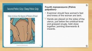Fourth manoeveuvre (Pelvic
palpation)-
• Examiner should face woman's feet
and knees of the woman are bent.
• Hands are placed on the sides of the
uterus, just below the umblical level
and grasped snugly, held close
together, pointing downwards &
inwards.
 