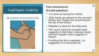 First manoeveuvre
(Fundal palpation)-
 It is done by facing the mother.
 Both hands are placed on the woman's
fundus and fingers are curved around
the top of the fundus.
 Palpation is done for the fetal parts.
 The round, hard and movable head
suggests of fetal head, whereas broad,
soft and irregular mass suggests of
breech.
 If nothing like this is palpated, it is
suggestive of a transverse lie.
 