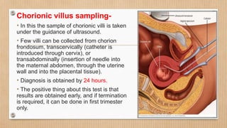 Chorionic villus sampling-
• In this the sample of chorionic villi is taken
under the guidance of ultrasound.
• Few villi can be collected from chorion
frondosum, transcervically (catheter is
introduced through cervix), or
transabdominally (insertion of needle into
the maternal abdomen, through the uterine
wall and into the placental tissue).
• Diagnosis is obtained by 24 hours.
• The positive thing about this test is that
results are obtained early, and if termination
is required, it can be done in first trimester
only.
 