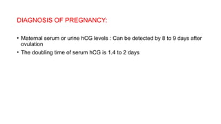 DIAGNOSIS OF PREGNANCY:
• Maternal serum or urine hCG levels : Can be detected by 8 to 9 days after
ovulation
• The doubling time of serum hCG is 1.4 to 2 days
 