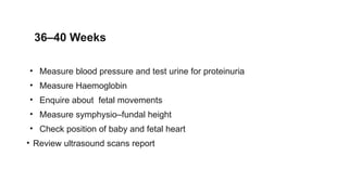 36–40 Weeks
• Measure blood pressure and test urine for proteinuria
• Measure Haemoglobin
• Enquire about fetal movements
• Measure symphysio–fundal height
• Check position of baby and fetal heart
• Review ultrasound scans report
 