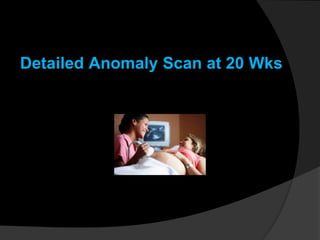 Detailed Anomaly Scan at 20 Wks
 