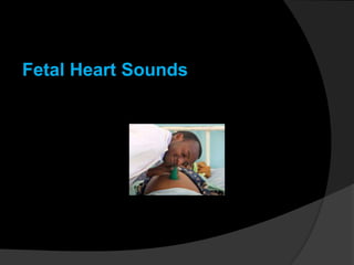 Fetal Heart Sounds
 