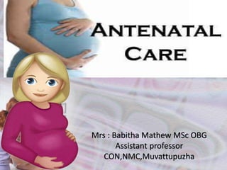 Mrs : Babitha Mathew MSc OBG
Assistant professor
CON,NMC,Muvattupuzha
 
