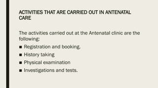 Comprehensive Guide to Antenatal Care: Schedule, Procedures, and Health ...