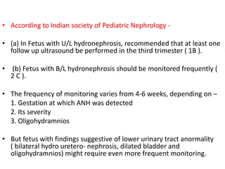 • According to Indian society of Pediatric Nephrology -
• (a) In Fetus with U/L hydronephrosis, recommended that at least one
follow up ultrasound be performed in the third trimester ( 1B ).
• (b) Fetus with B/L hydronephrosis should be monitored frequently (
2 C ).
• The frequency of monitoring varies from 4-6 weeks, depending on –
1. Gestation at which ANH was detected
2. Its severity
3. Oligohydramnios
• But fetus with findings suggestive of lower urinary tract anormality
( bilateral hydro uretero- nephrosis, dilated bladder and
oligohydramnios) might require even more frequent monitoring.
 