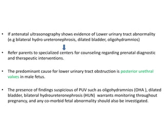 • If antenatal ultrasonography shows evidence of Lower urinary tract abnormality
(e.g bilateral hydro ureteronephrosis, dilated bladder, oligohydramnios)
• Refer parents to specialized centers for counseling regarding prenatal diagnostic
and therapeutic interventions.
• The predominant cause for lower urinary tract obstruction is posterior urethral
valves in male fetus.
• The presence of findings suspicious of PUV such as oligohydramnios (OHA ), dilated
bladder, bilateral hydroureteronephrosis (HUN) warrants monitoring throughout
pregnancy, and any co-morbid fetal abnormality should also be investigated.
 