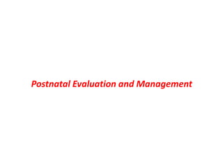 Postnatal Evaluation and Management
 
