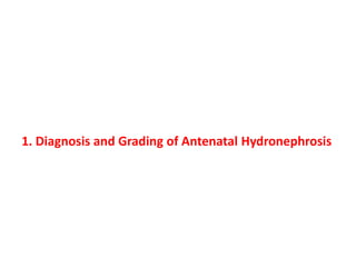 1. Diagnosis and Grading of Antenatal Hydronephrosis
 