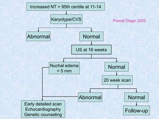 Increased NT > 95th centile at 11-14
Karyotype/CVS
Early detailed scan
Echocardiography
Genetic counseling
Abnormal Normal
20 week scan
Nuchal edema
> 5 mm
US at 16 weeks
Normal
Abnormal
Normal
Follow-up
Prenat Diagn 2002
 