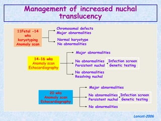 11Fetal -14
wks
karyotyping
Anomaly scan
Chromosomal defects
Major abnormalities
Normal karyotype
No abnormalities
14-16 wks
Anomaly scan
Echocardiography
No abnormalities
Resolving nuchal
Major abnormalities
No abnormalities
Persistent nuchal
Infection screen
Genetic testing
20 wks
Anomaly scan
Echocardiography
No abnormalities
Major abnormalities
No abnormalities
Persistent nuchal
Infection screen
Genetic testing
Management of increased nuchal
translucency
Lancet-2006
 