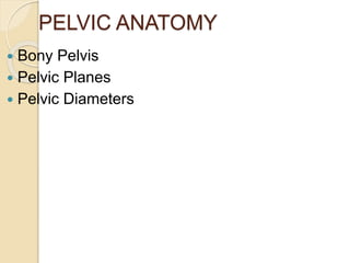 PELVIC ANATOMY
 Bony Pelvis
 Pelvic Planes
 Pelvic Diameters
 