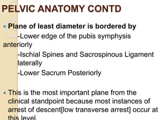 PELVIC ANATOMY CONTD
 Plane of least diameter is bordered by
-Lower edge of the pubis symphysis
anteriorly
-Ischial Spines and Sacrospinous Ligament
laterally
-Lower Sacrum Posteriorly
 This is the most important plane from the
clinical standpoint because most instances of
arrest of descent[low transverse arrest] occur at
 