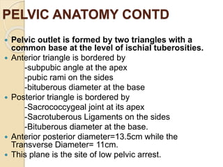 PELVIC ANATOMY CONTD
 Pelvic outlet is formed by two triangles with a
common base at the level of ischial tuberosities.
 Anterior triangle is bordered by
-subpubic angle at the apex
-pubic rami on the sides
-bituberous diameter at the base
 Posterior triangle is bordered by
-Sacrococcygeal joint at its apex
-Sacrotuberous Ligaments on the sides
-Bituberous diameter at the base.
 Anterior posterior diameter=13.5cm while the
Transverse Diameter= 11cm.
 This plane is the site of low pelvic arrest.
 