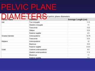 PELVIC PLANE
DIAMETERS
 