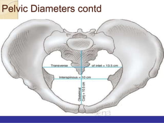 Pelvic Diameters contd
 