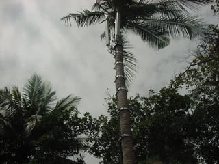 25-Oct-13 WIRELESS 49
 