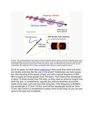 Artwork: Top: Electromagnetic radio waves consist of vibrating electric waves (blue) and magnetic waves (red)
traveling together at the speed of light (black arrow). Bottom: Left: An FM antenna picks up the relatively short
wavelength, high-frequency electric part of FM radio waves. Right: An AM ferrite loop antenna picks up and
concentrates the magnetic parts of longer wavelength, lower frequency electromagnetic waves.
So far so good, but what about cellphones? How come they need only short
and stubby antennas like the one in this photo? Cellphones use radio waves
too, also traveling at the speed of light, and with a typical frequency of 800
MHz (roughly ten times greater than FM radio). That means their wavelength
is about 10 times shorter than FM radio, so they need an antenna roughly one
tenth the size. In smartphones, typically the antenna stretches around the
inside of the case. Let's see how that computes: if the frequency is 800MHz,
the wavelength is 37.5cm (14.8in), and half the wavelength would be 18cm
(7.0in). My current LG smartphone is about 14cm (5.5in) long, so you can see
we're in the right sort of ballpark.
 