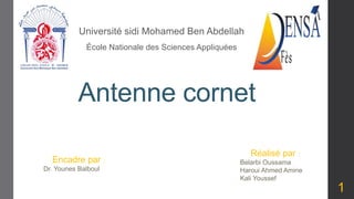 Antenne cornet
Université sidi Mohamed Ben Abdellah
École Nationale des Sciences Appliquées
Réalisé par :
Belarbi Oussama
Haroui Ahmed Amine
Kali Youssef
Encadre par :
Dr. Younes Balboul
1
 